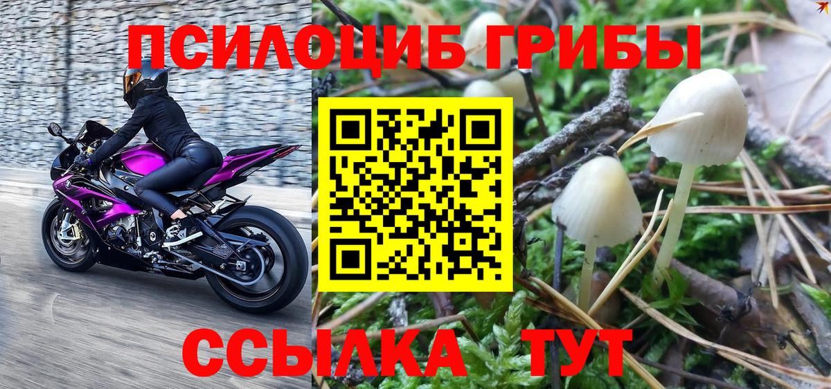 Галлюциногенные грибы ЛСД Энгельс