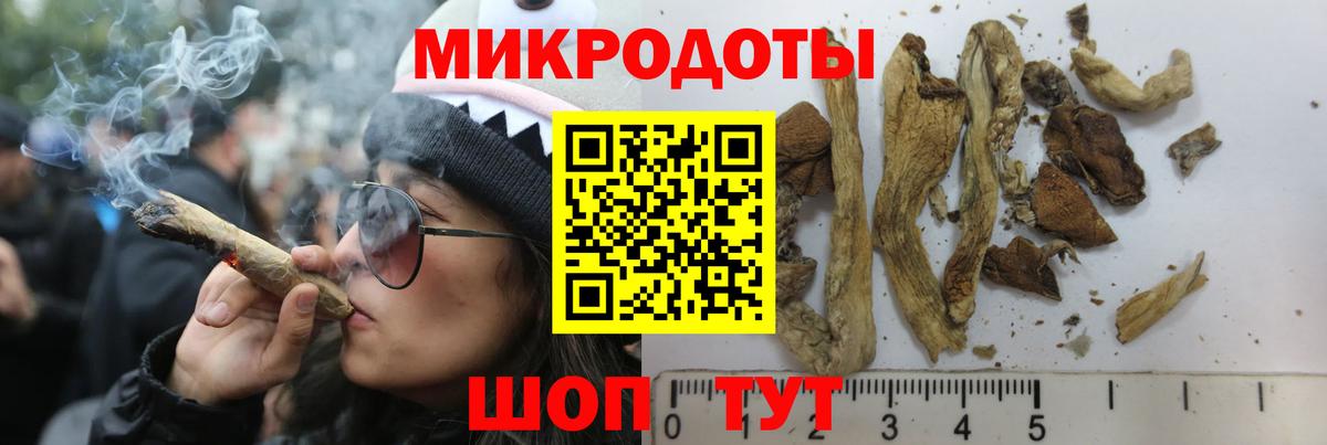 Энгельс  Псилоцибиновые грибы Cubensis  продажа наркотиков  Вход с VPN 